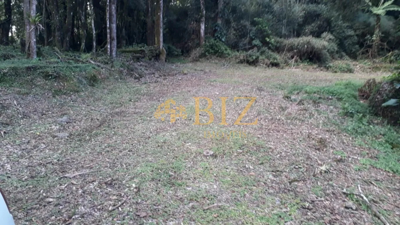 Lote com 33.000m a 500 metros da represa! — foto 5