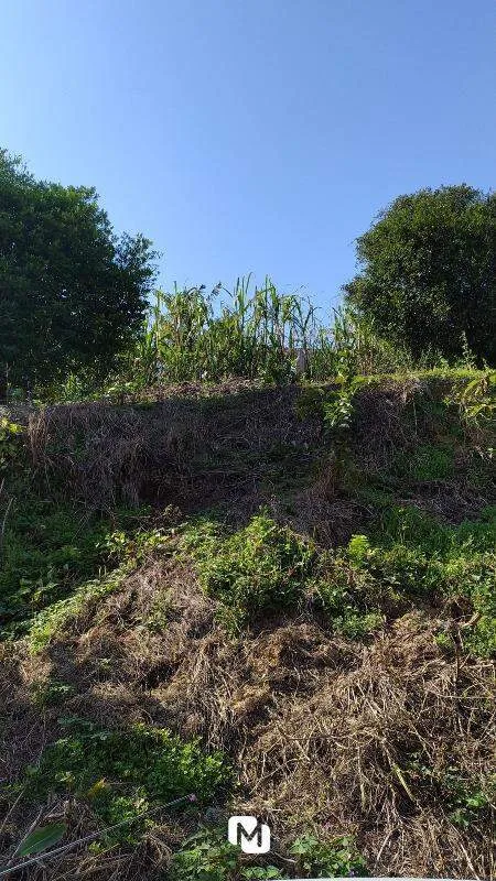 Excelente terreno com mais de 600m na Velha Central. Confira! — foto 4