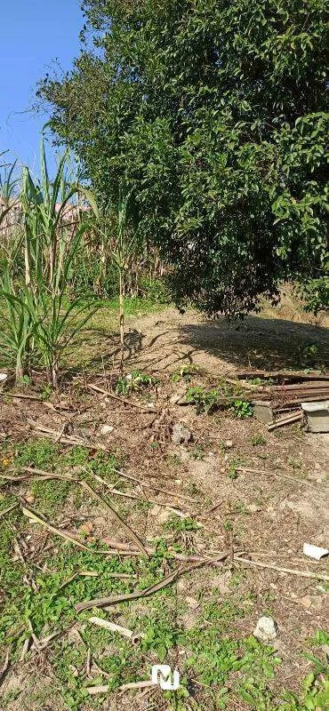 Excelente terreno com mais de 600m na Velha Central. Confira! — foto 6