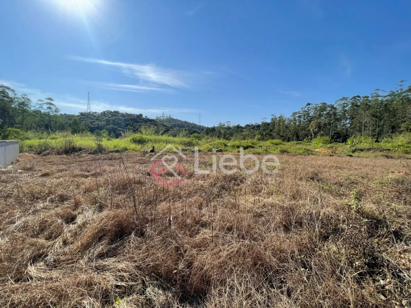 Excelente terreno na cidade de Pomerode no Bairro Testo Central, com 450,00m, de forma triangular, fazendo Frente em 37,53m, pelo lado Direito em 24,11m e pelo lado Esquerdo 46,64m. — foto 3