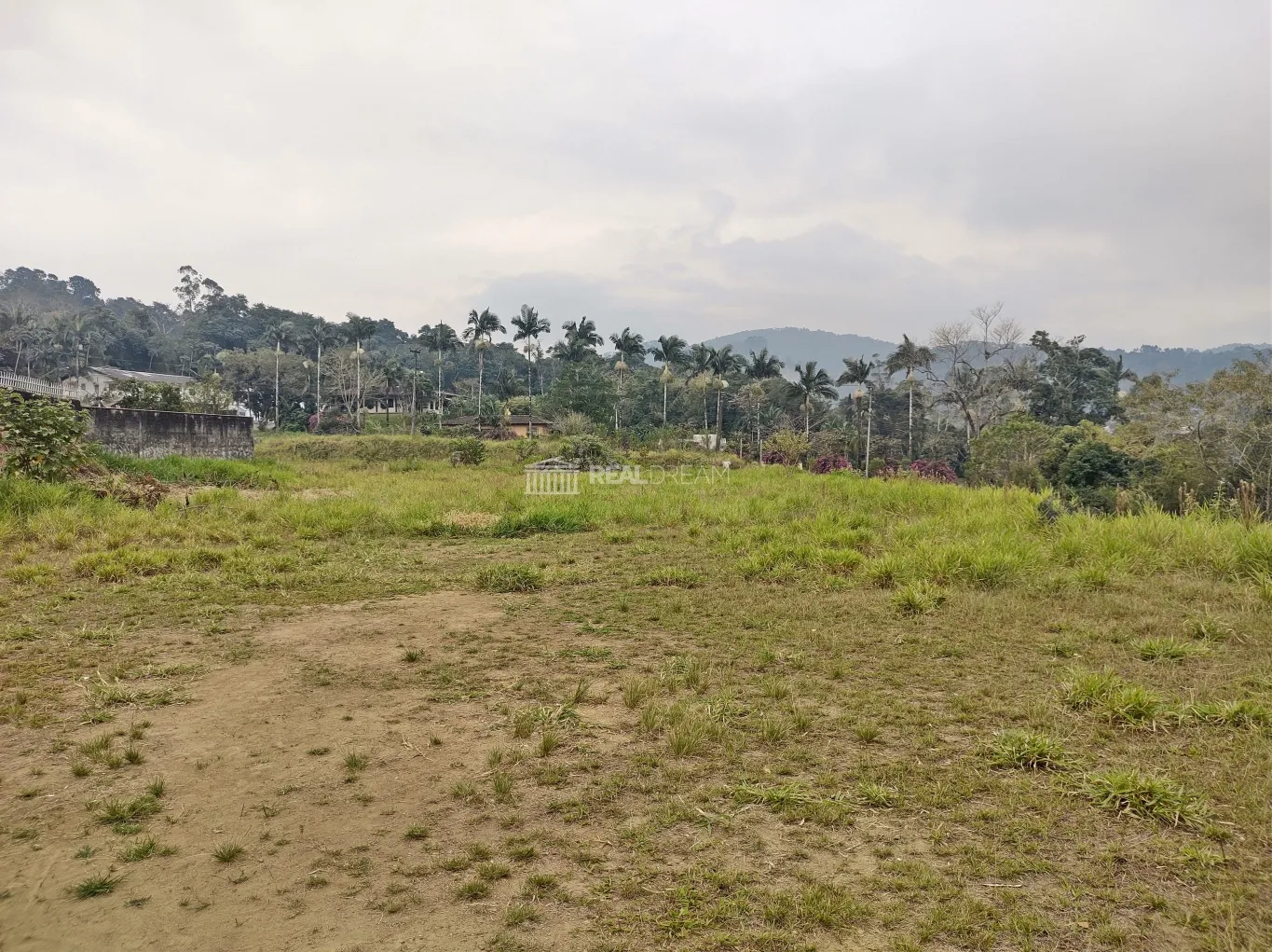 Terreno com 83,50m para BR 470 com estudo construtivo de 6.584m de galpão — foto 6