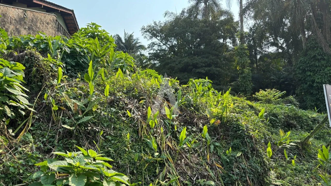 Terreno com 369,85m à venda no bairro Costa e Silva em Joinville-SC por R$370.000,00. — foto 4