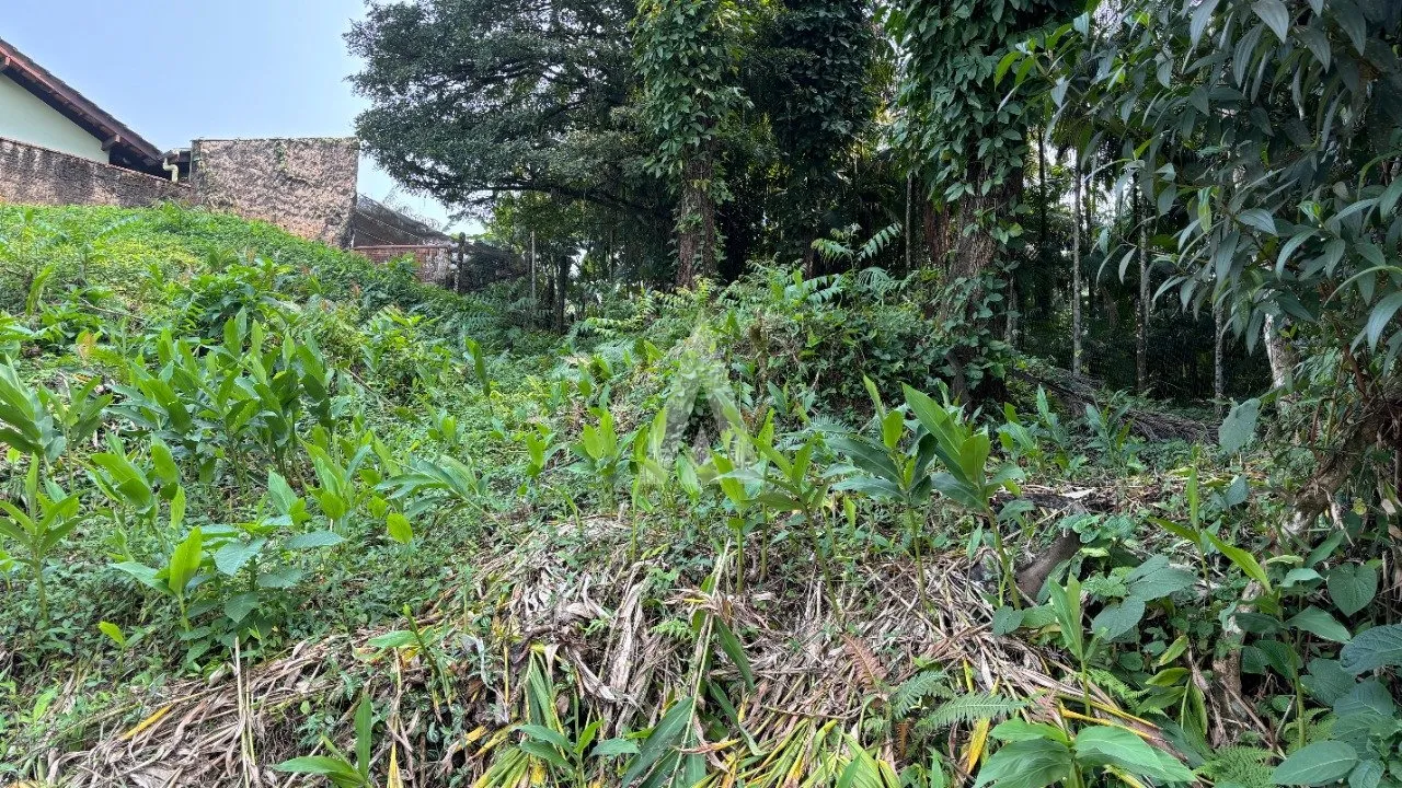 Terreno com 369,85m à venda no bairro Costa e Silva em Joinville-SC por R$370.000,00. — foto 3