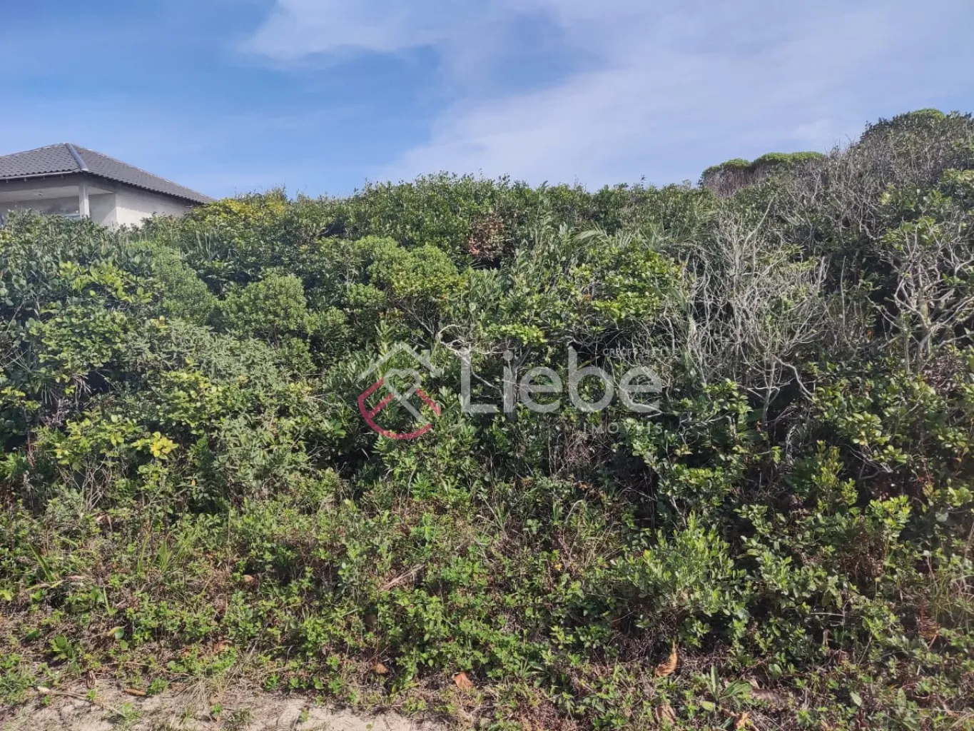 Excelente oportunidade de terreno na Praia do Ervino na cidade de São Francisco do Sul com 375,00m, fazendo frente em 12,50 metros. — foto 3