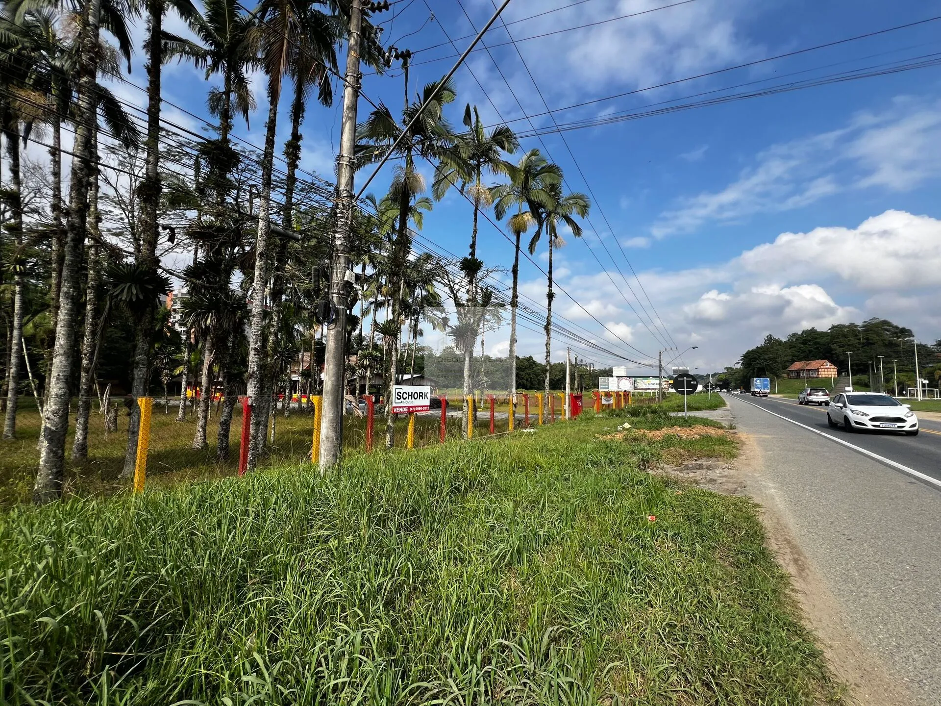 Terreno para indústria, hotel ou atacadista em Blumenau! - foto 1