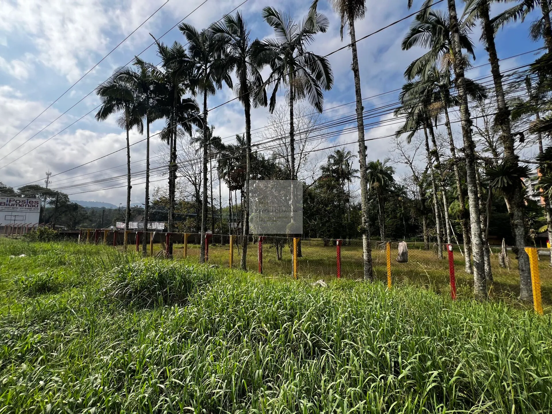 Terreno para indústria, hotel ou atacadista em Blumenau! — foto 2