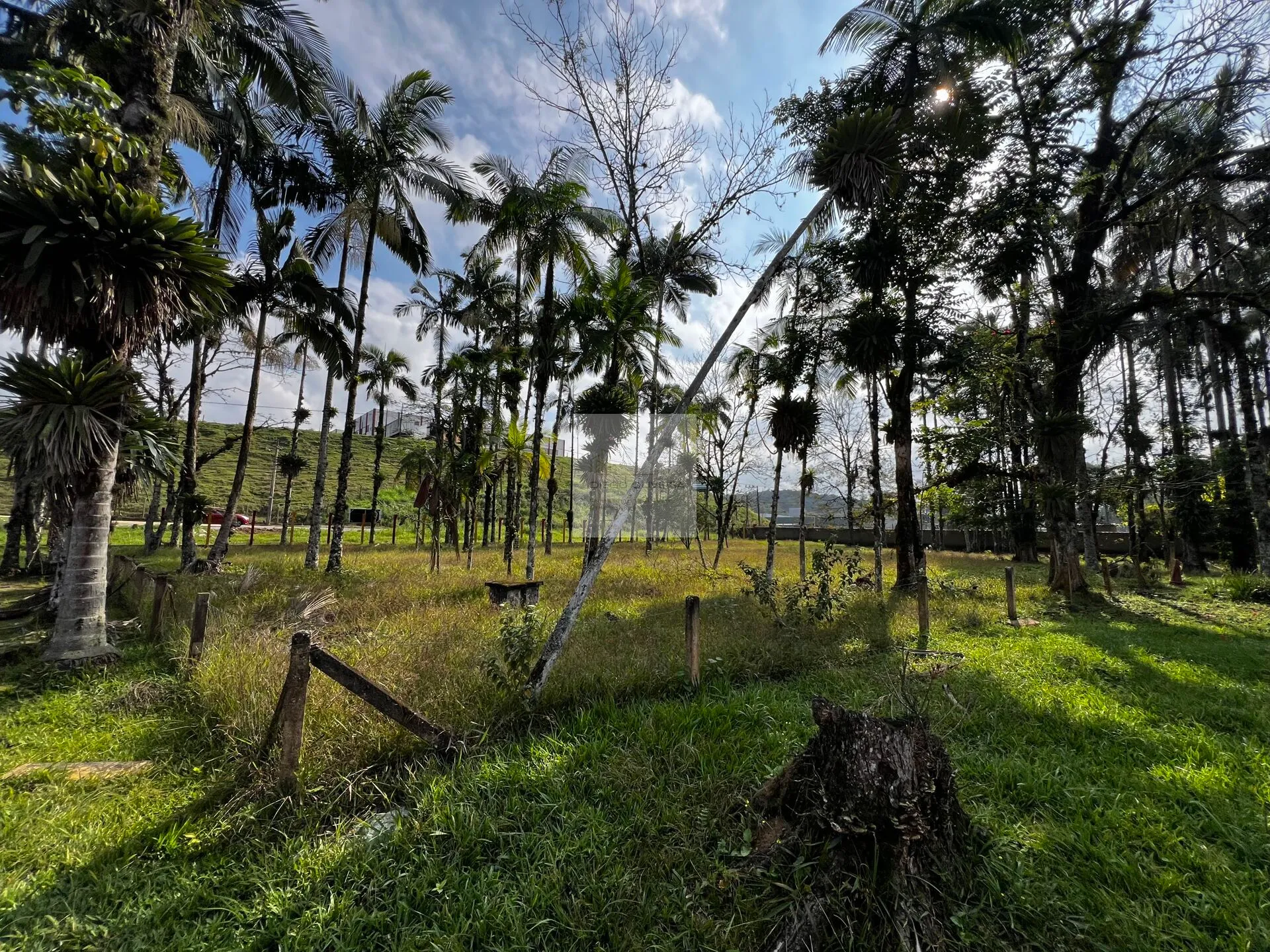 Terreno para indústria, hotel ou atacadista em Blumenau! — foto 5