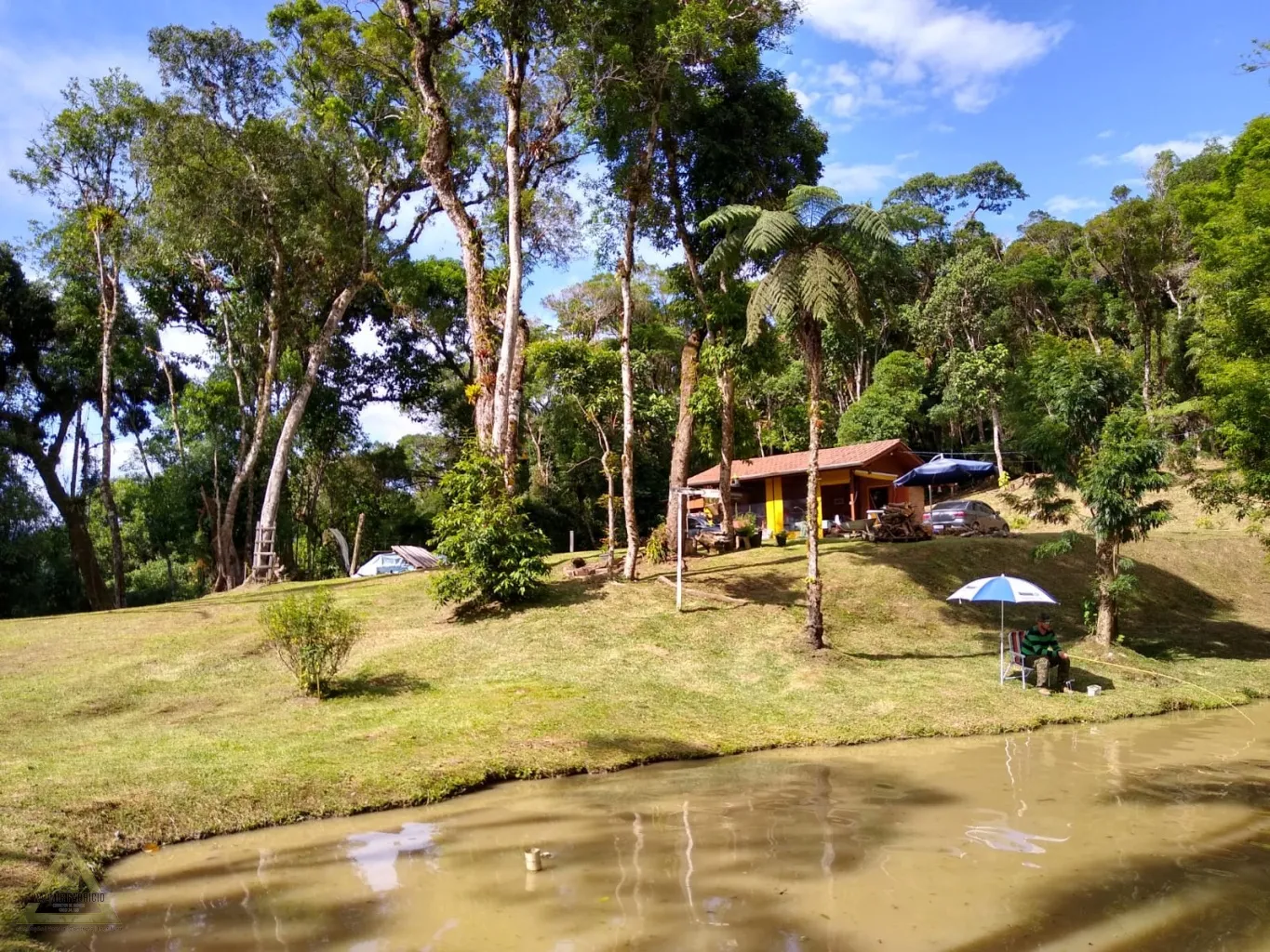 Procura-se uma família para viver histórias inesquecíveis. — foto 3