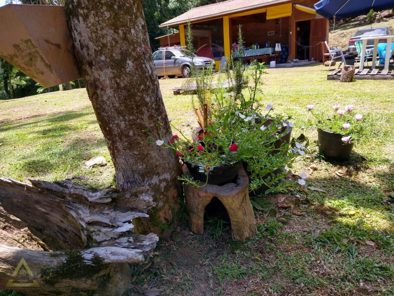 Procura-se uma família para viver histórias inesquecíveis. — foto 4