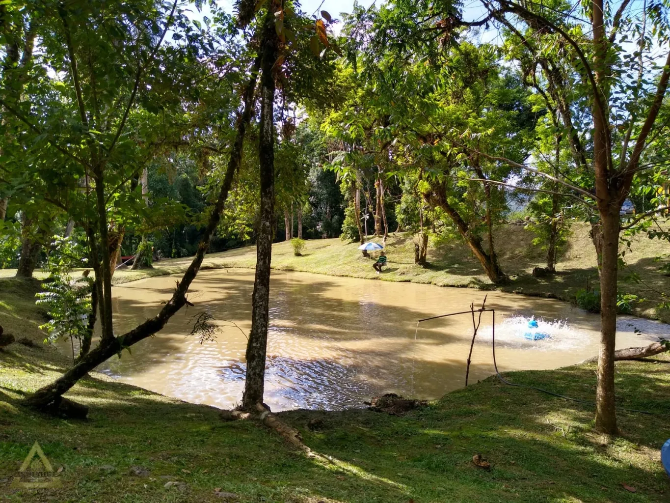 Procura-se uma família para viver histórias inesquecíveis. — foto 6