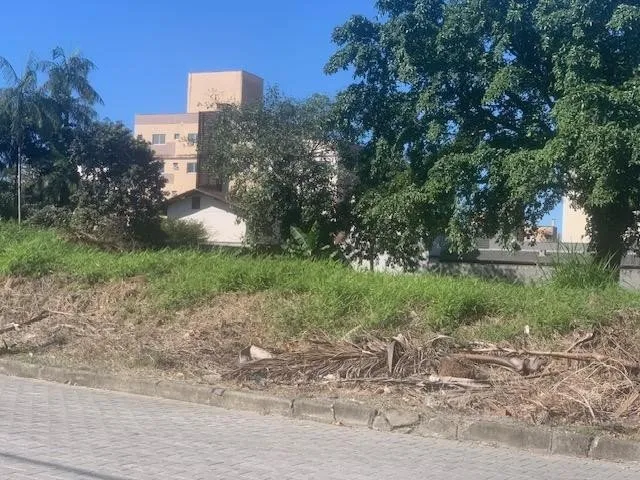 TERRENO no NOVA BRASÍLIA com 0 quartos para VENDA, 2365 m — foto 2