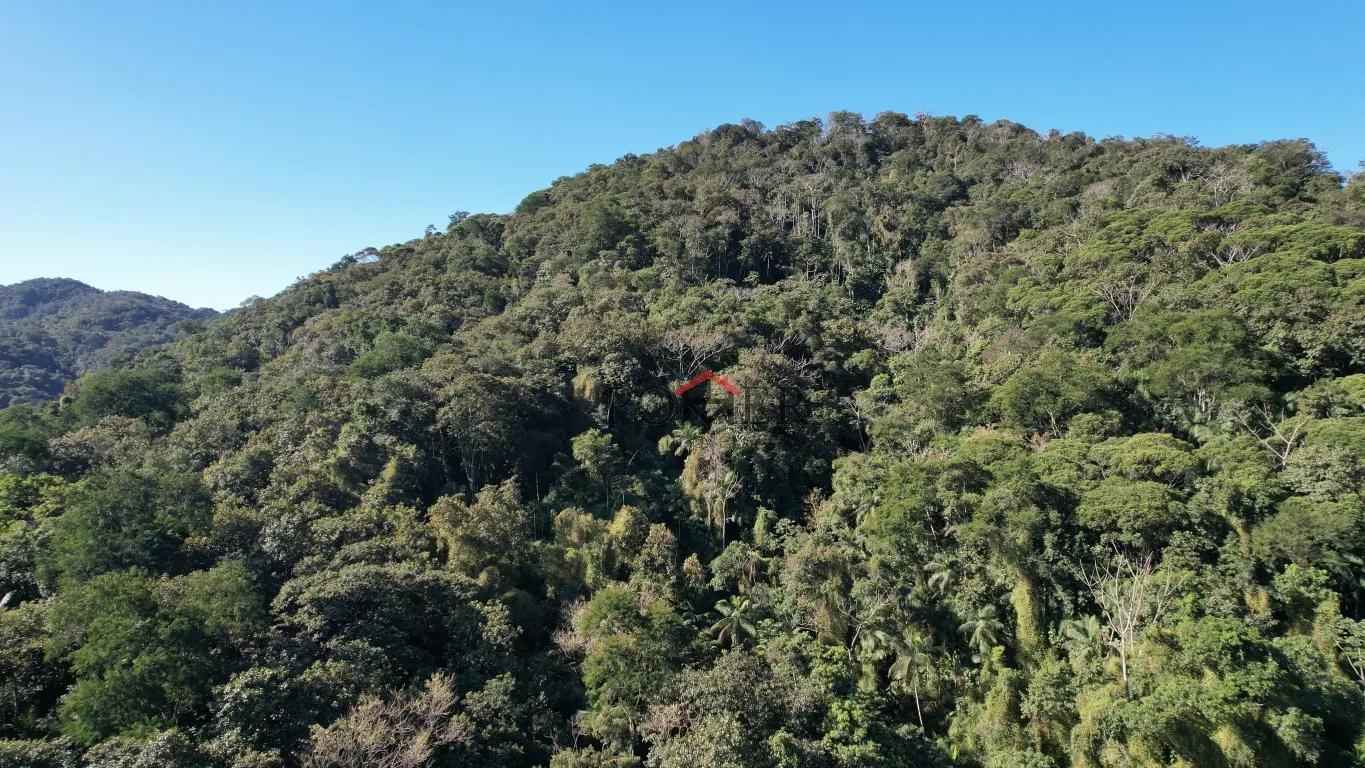 Oportunidade de sitio ou terreno em Pomerode, com 182.413,52m, fácil acesso a 15 minutos de centro da cidade. — foto 5