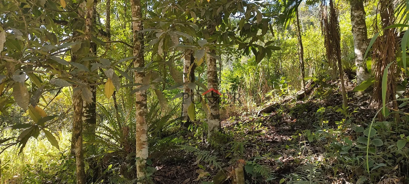 Oportunidade de sitio ou terreno em Pomerode, com 182.413,52m, fácil acesso a 15 minutos de centro da cidade. — foto 6