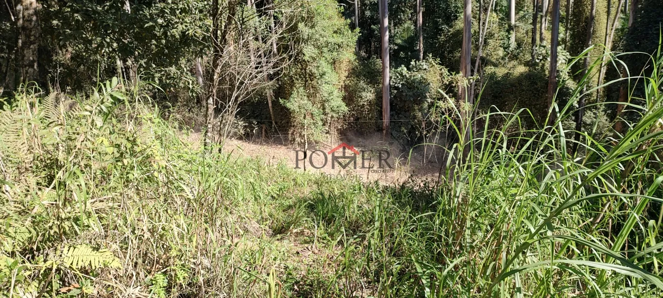 Oportunidade de sitio ou terreno em Pomerode, com 182.413,52m, fácil acesso a 15 minutos de centro da cidade. — foto 7