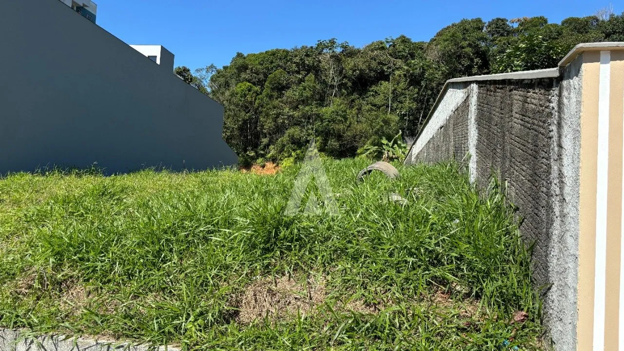Terreno à venda no bairro Floresta em Joinville, por R$ 750.000.00. — foto 5