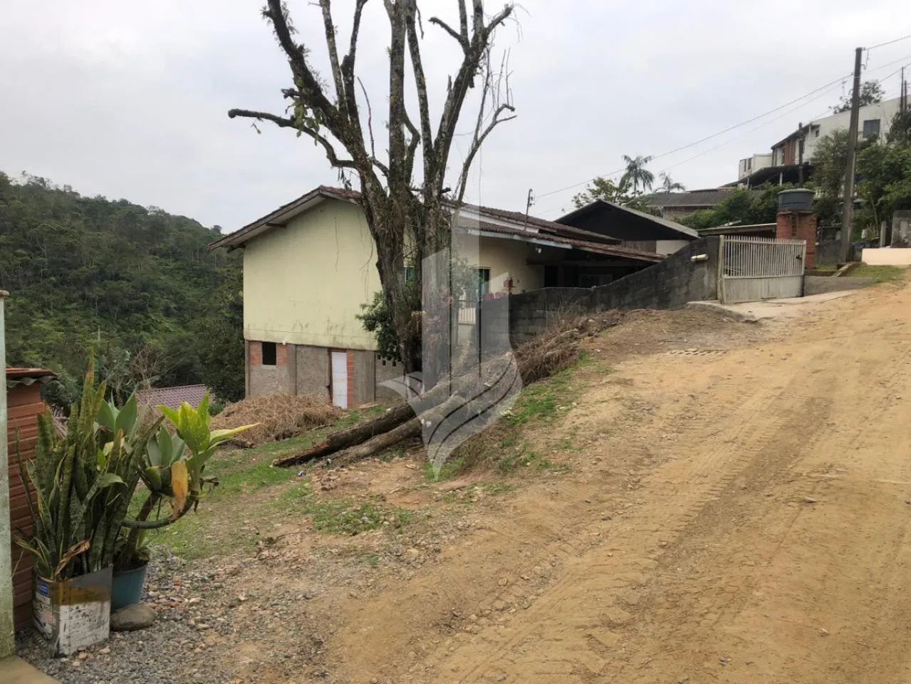 Terreno no Bairro Nova Esperança, contendo 326,78m, com 14m de frente. — foto 3
