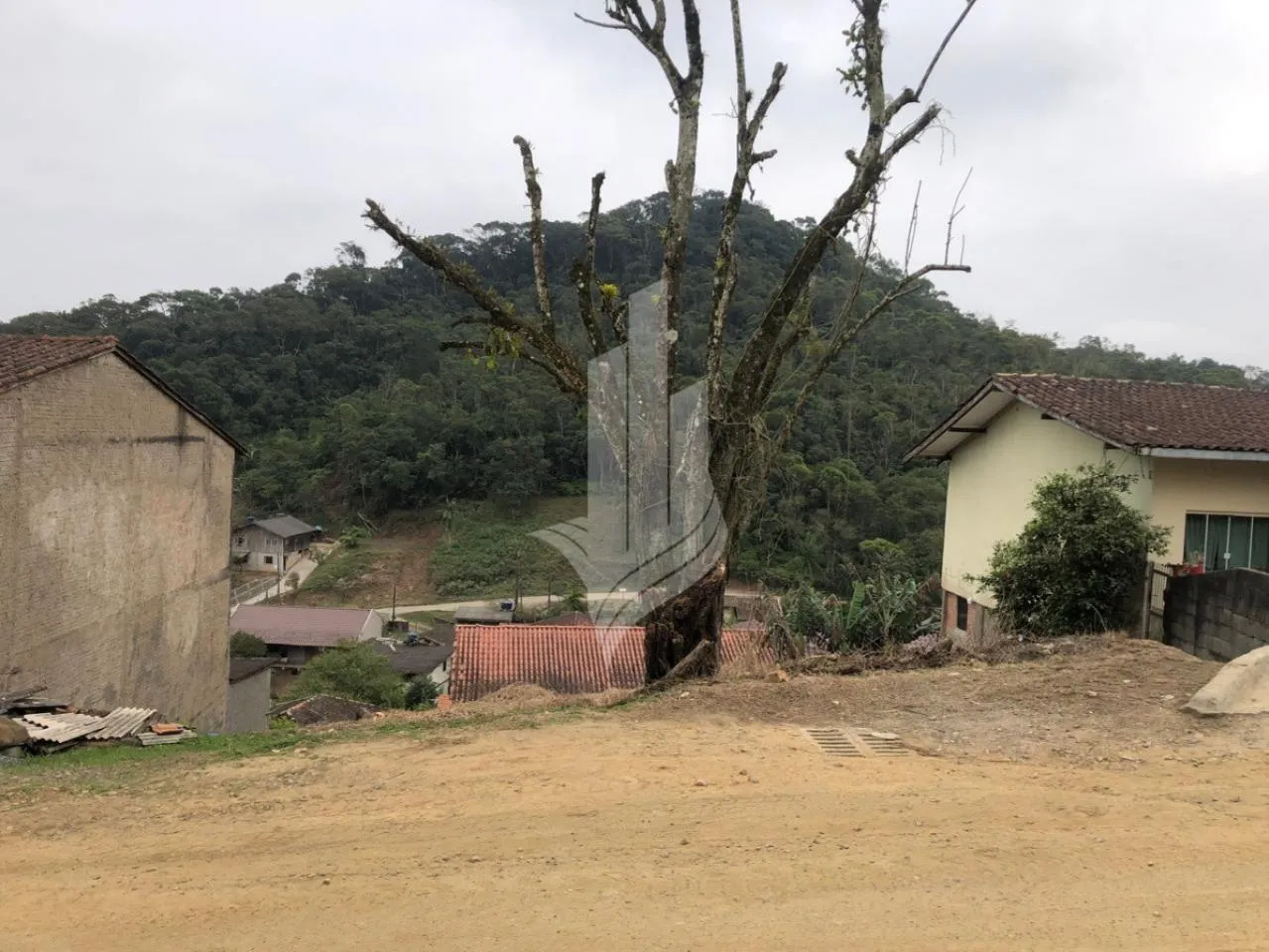Terreno no Bairro Nova Esperança, contendo 326,78m, com 14m de frente. — foto 4