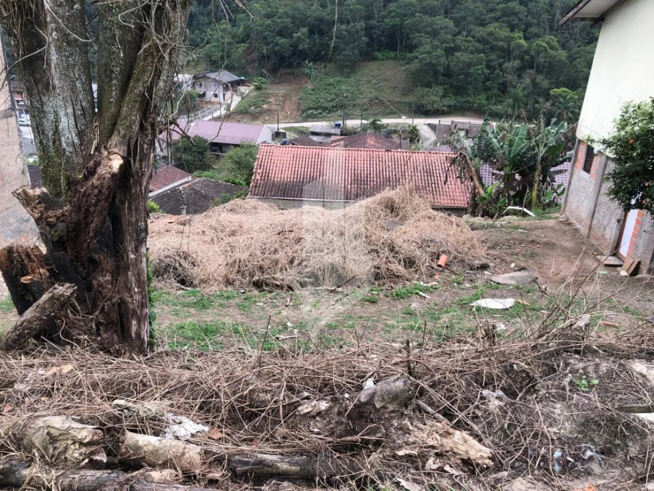 Terreno no Bairro Nova Esperança, contendo 326,78m, com 14m de frente. — foto 5