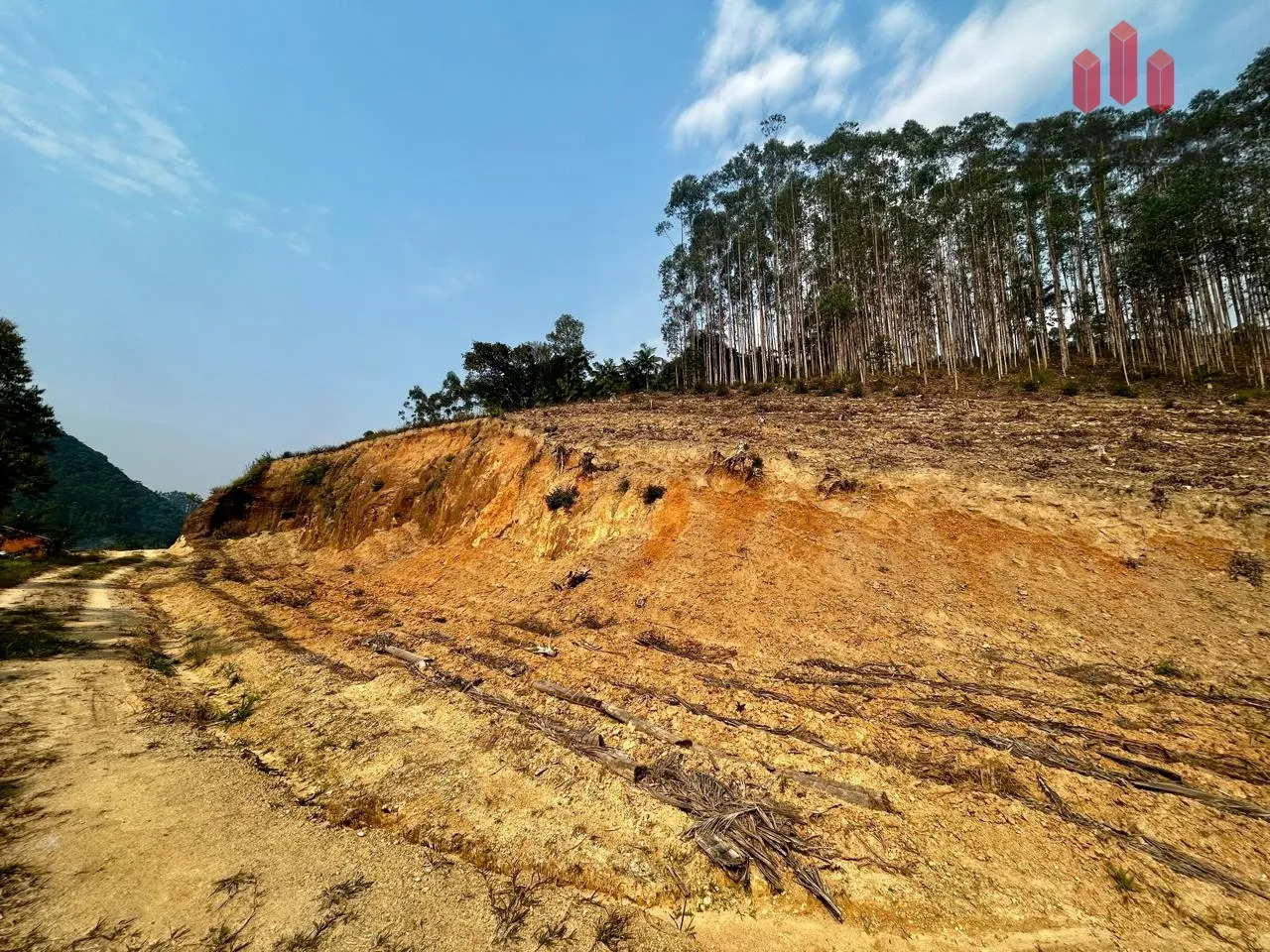 Terreno à venda no bairro Vargem Grande em Apiúna/SC - foto 1