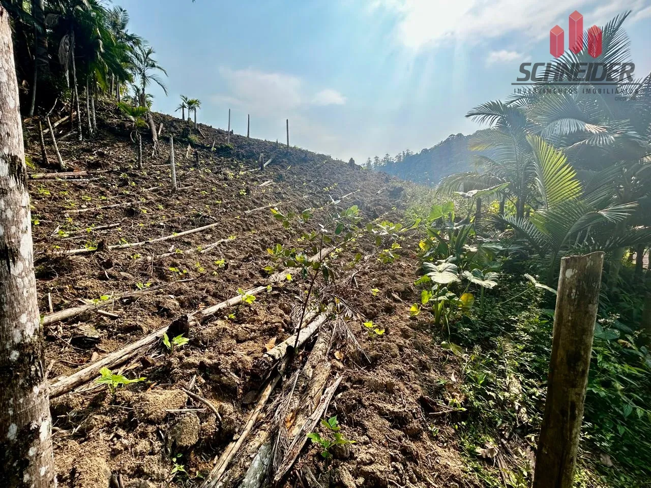 Terreno à venda no bairro Vargem Grande em Apiúna/SC — foto 5