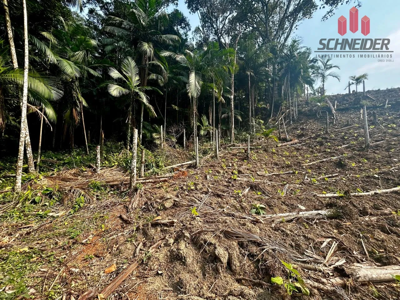 Terreno à venda no bairro Vargem Grande em Apiúna/SC — foto 6