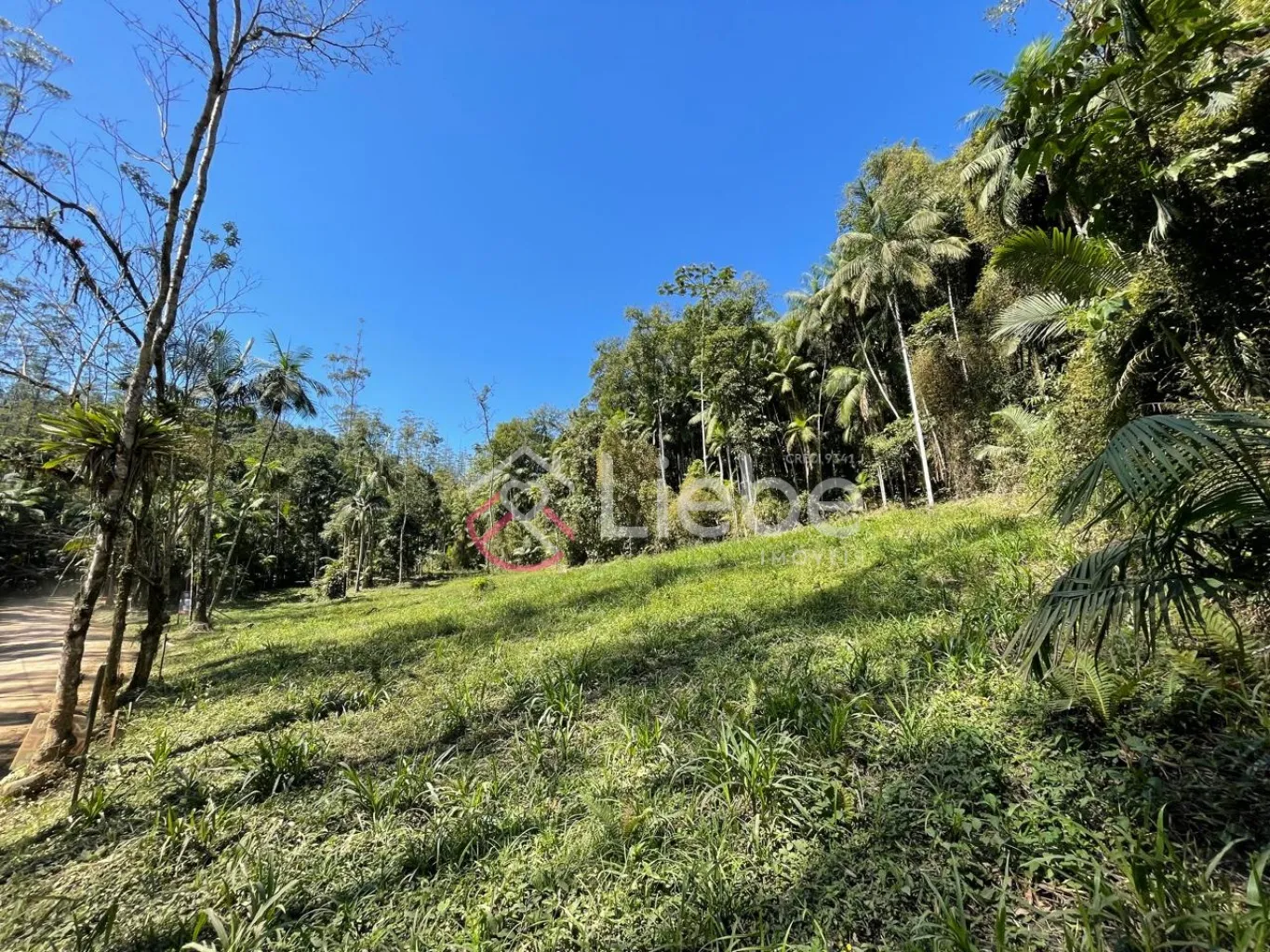 Terreno com potencial para residência, hospedagem e mini sítio no Bairro Testo Central na cidade de Pomerode com 6.440,17m. — foto 6