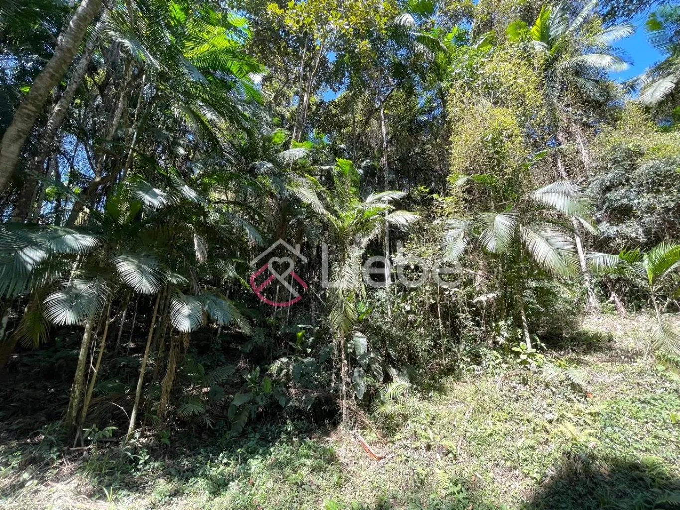 Terreno com potencial para residência, hospedagem e mini sítio no Bairro Testo Central na cidade de Pomerode com 6.440,17m. — foto 7