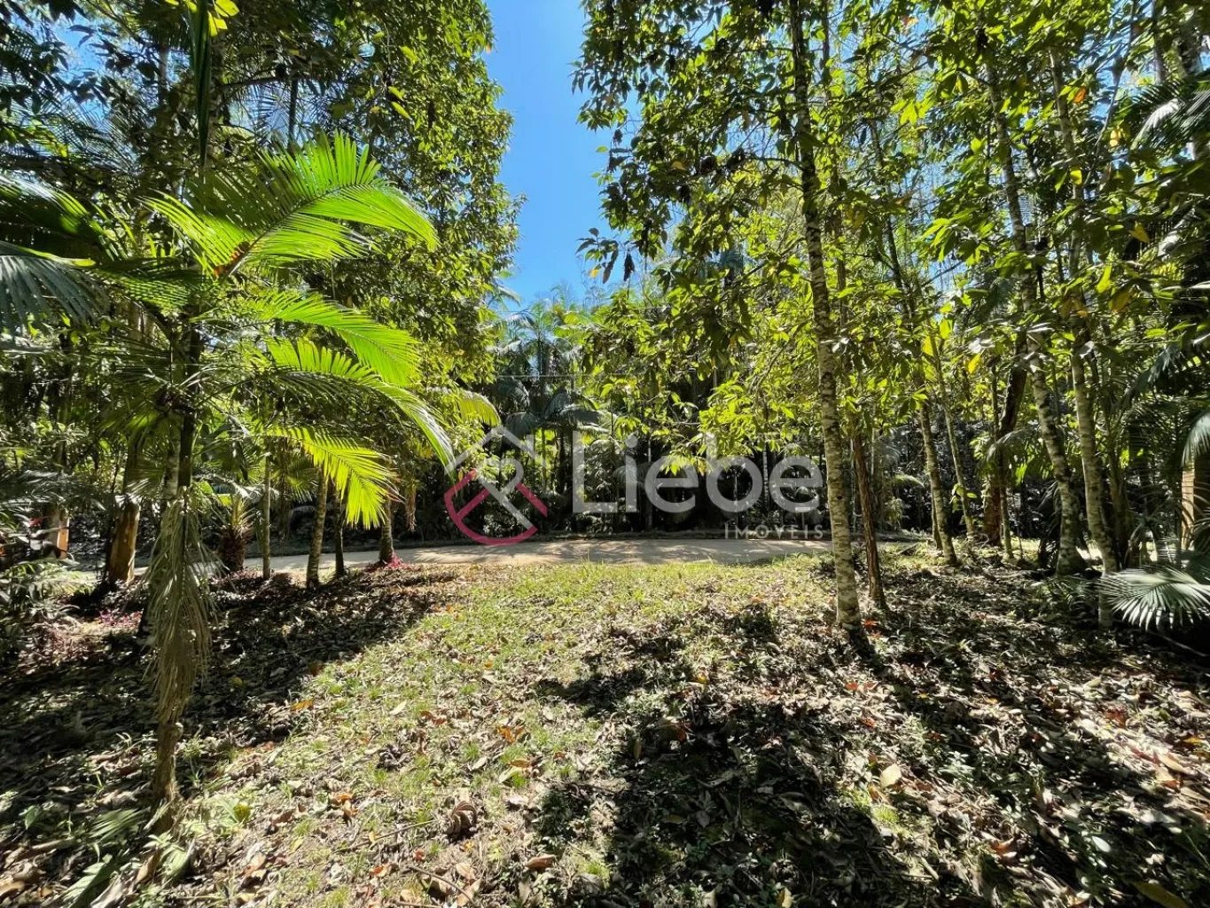 Terreno com potencial para residência, hospedagem e mini sítio no Bairro Testo Central na cidade de Pomerode com 6.078,80m. - foto 1
