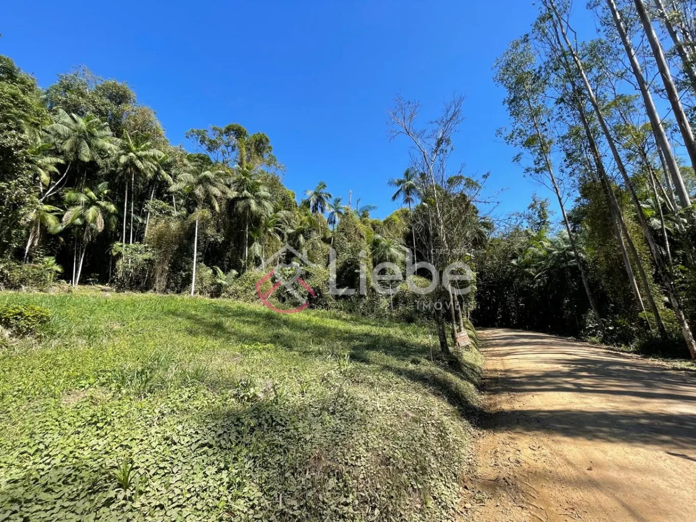 Terreno com potencial para residência, hospedagem e mini sítio no Bairro Testo Central na cidade de Pomerode com 6.078,80m. — foto 5