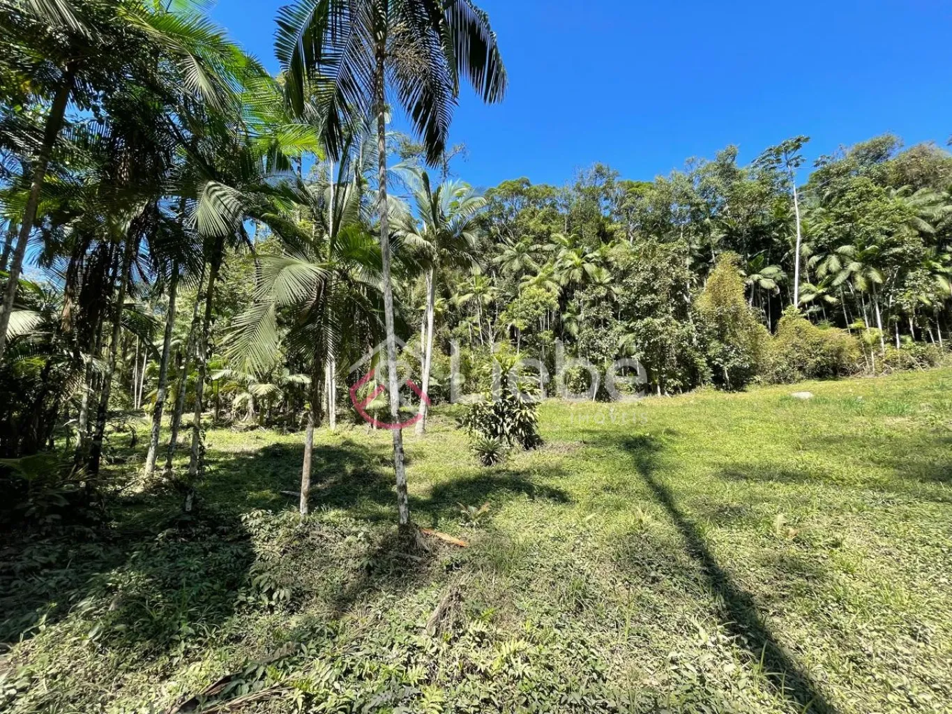 Terreno com potencial para residência, hospedagem e mini sítio no Bairro Testo Central na cidade de Pomerode com 15.346,95m. - foto 1