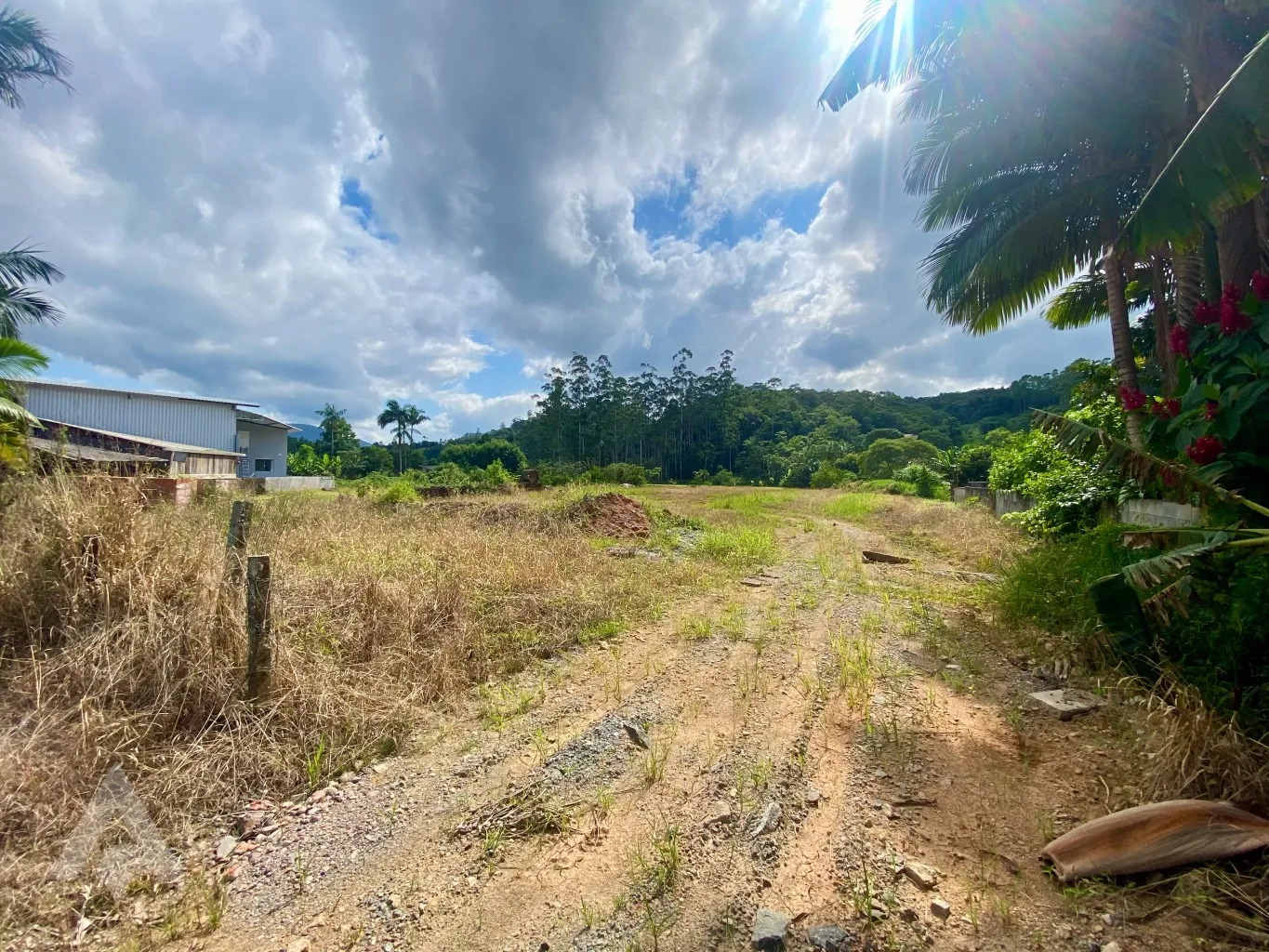 Terreno com 4.320 m à venda por R$ 3.800.000,00 - Bairro Belchior Alto - Gaspar/SC — foto 5