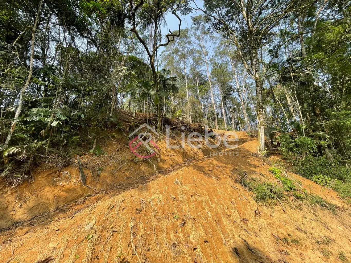 Terreno para residência, hospedagem ou mini sítio no Bairro Alto da Serra na cidade de Pomerode com 954,40m. — foto 2