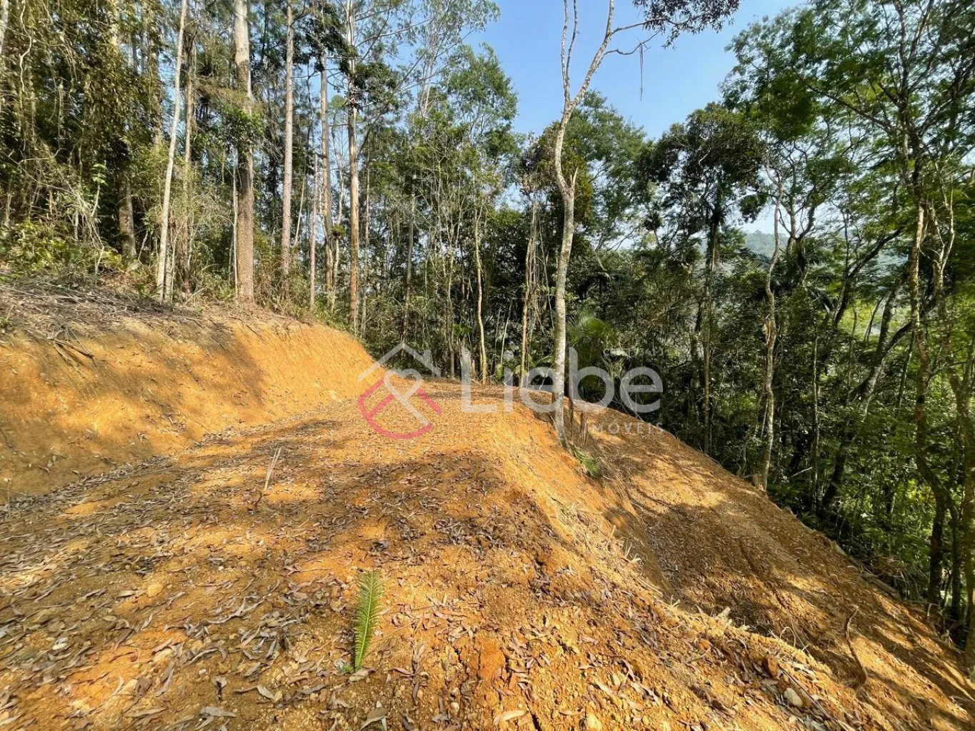 Terreno para residência, hospedagem ou mini sítio no Bairro Alto da Serra na cidade de Pomerode com 954,40m. — foto 4