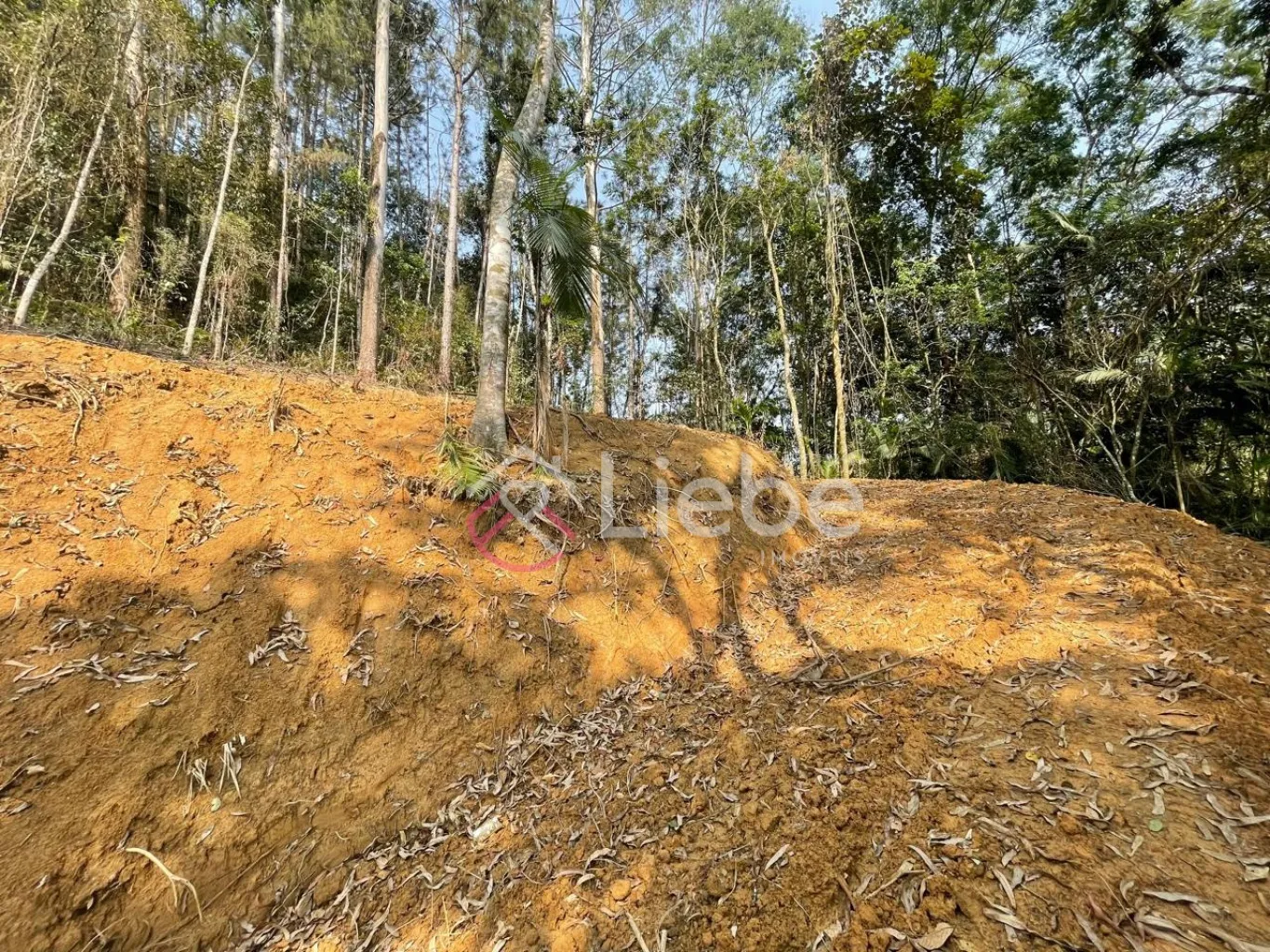 Terreno para residência, hospedagem ou mini sítio no Bairro Alto da Serra na cidade de Pomerode com 954,40m. — foto 5