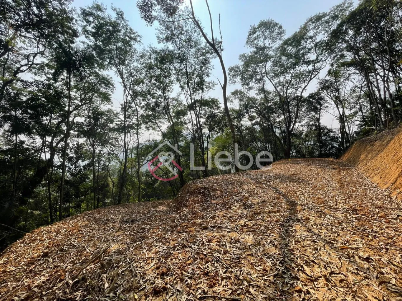 Terreno para residência, hospedagem ou mini sítio no Bairro Alto da Serra na cidade de Pomerode com 954,40m. — foto 6