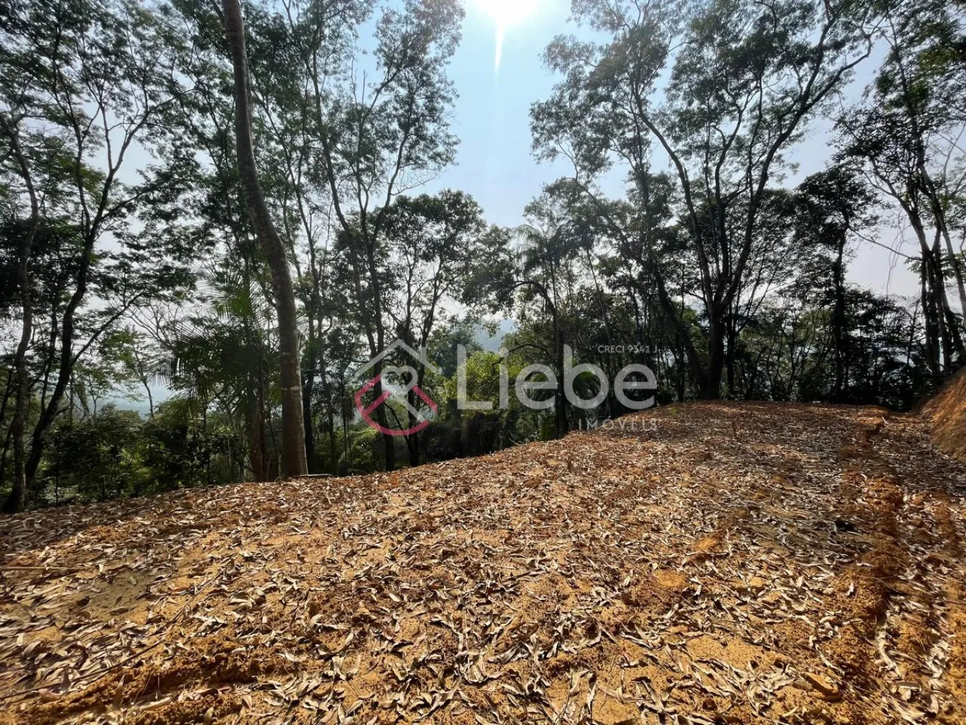 Terreno para residência, hospedagem ou mini sítio no Bairro Alto da Serra na cidade de Pomerode com 954,40m. — foto 7
