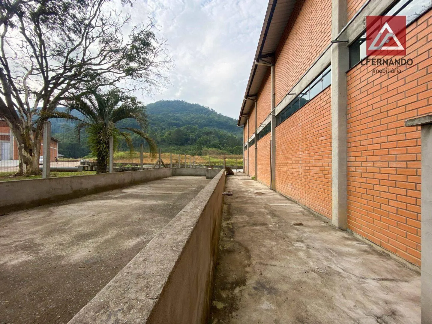 Galpão para alugar, 1300 m por R$ 29.615,00/mês - Fortaleza - Blumenau/SC — foto 3