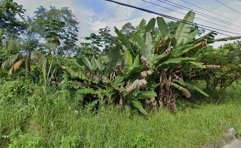Lotes com 383m em INDAIAL localizados no bairro Benedito - foto 1
