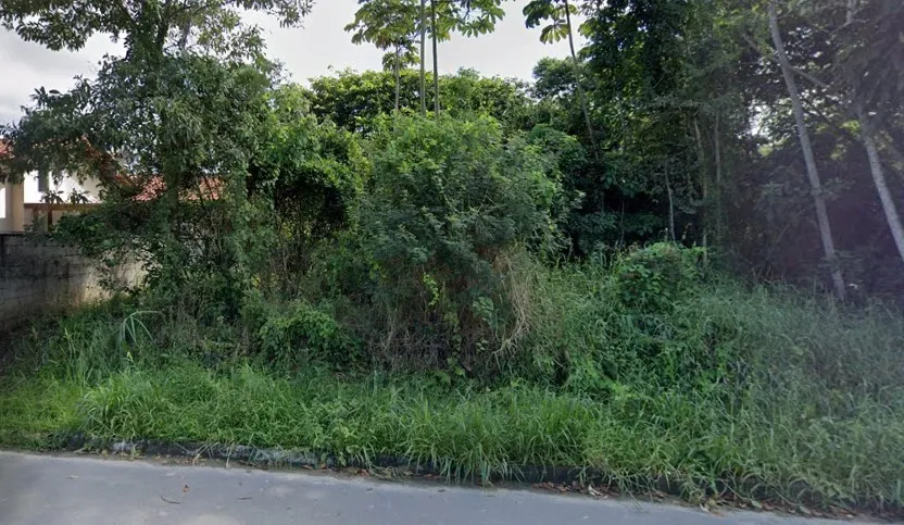 Lotes com 383m em INDAIAL localizados no bairro Benedito — foto 3