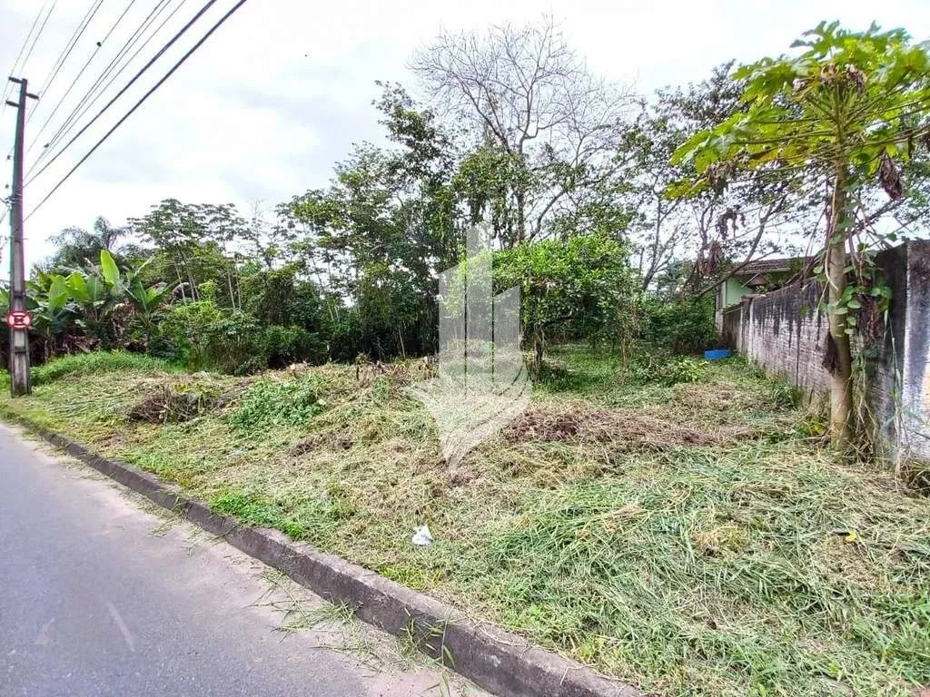 Lote em INDAIAL localizado no bairro Benedito - foto 1