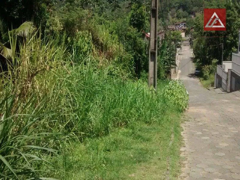 Terreno à venda, 2220 m por R$ 690.000,00 - Velha - Blumenau/SC - foto 1