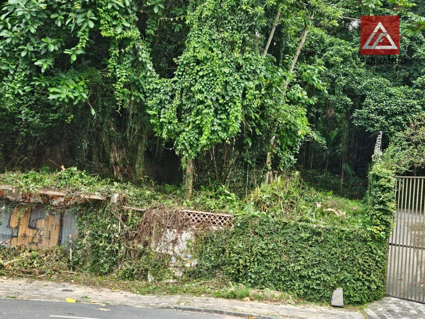 Terreno à venda, 660 m por R$ 460.000,00 - Centro - Blumenau/SC - foto 1