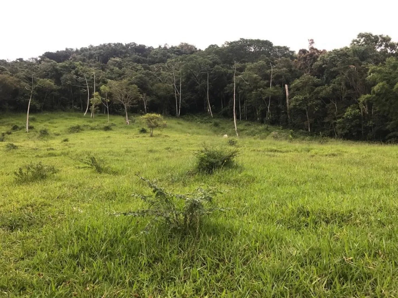 Imóvel — foto 7