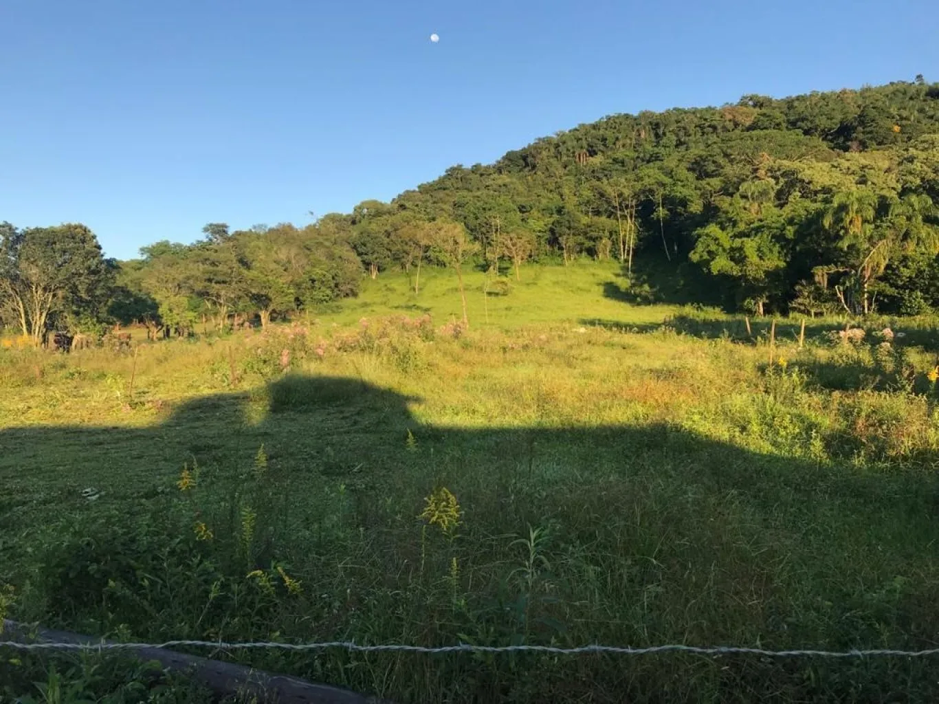 Imóvel — foto 3