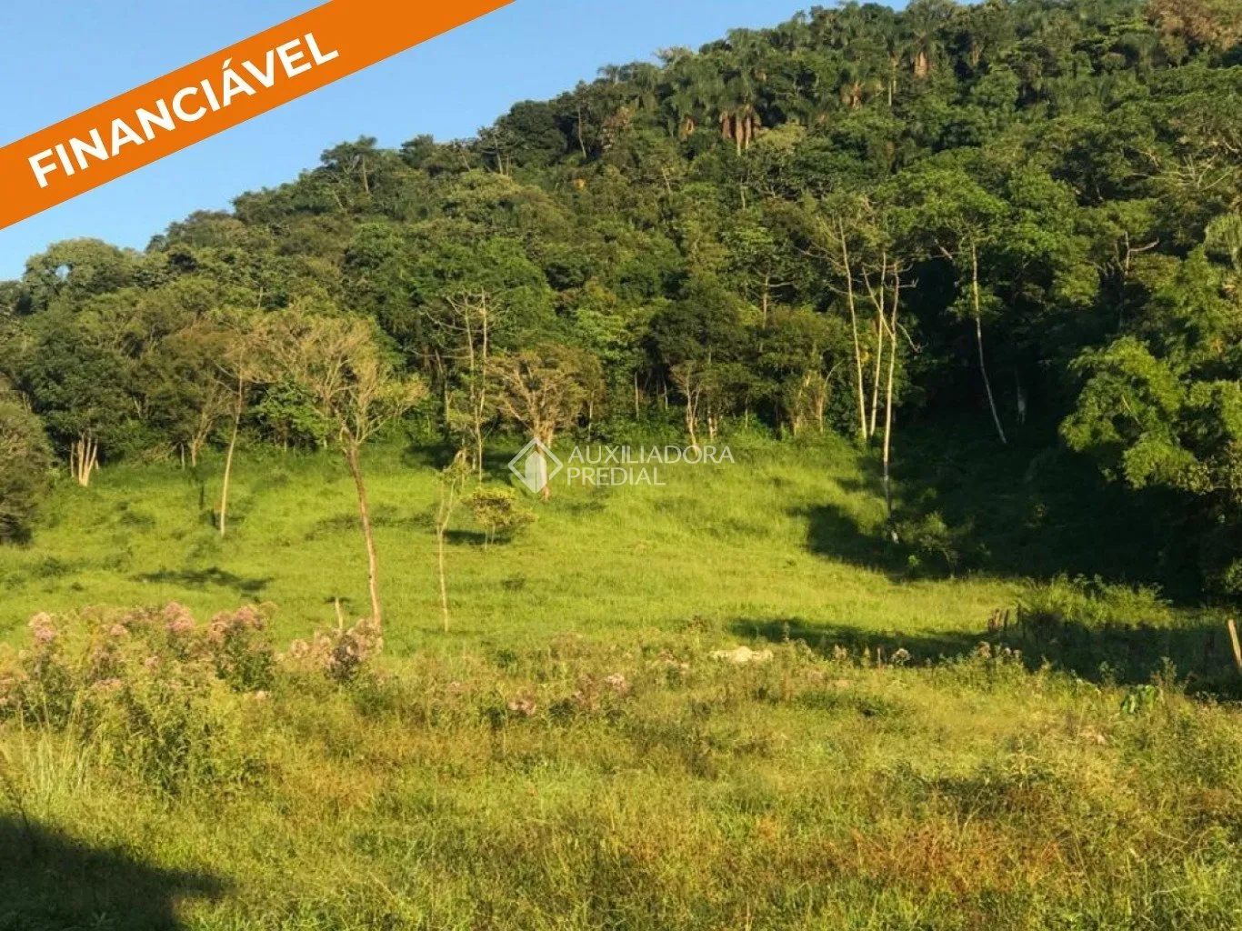 Imóvel - foto 1
