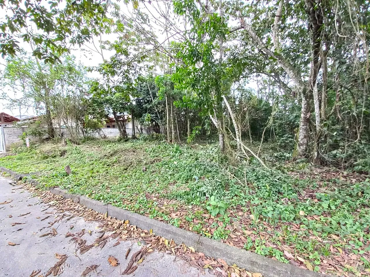 Terreno em Indaial — foto 3