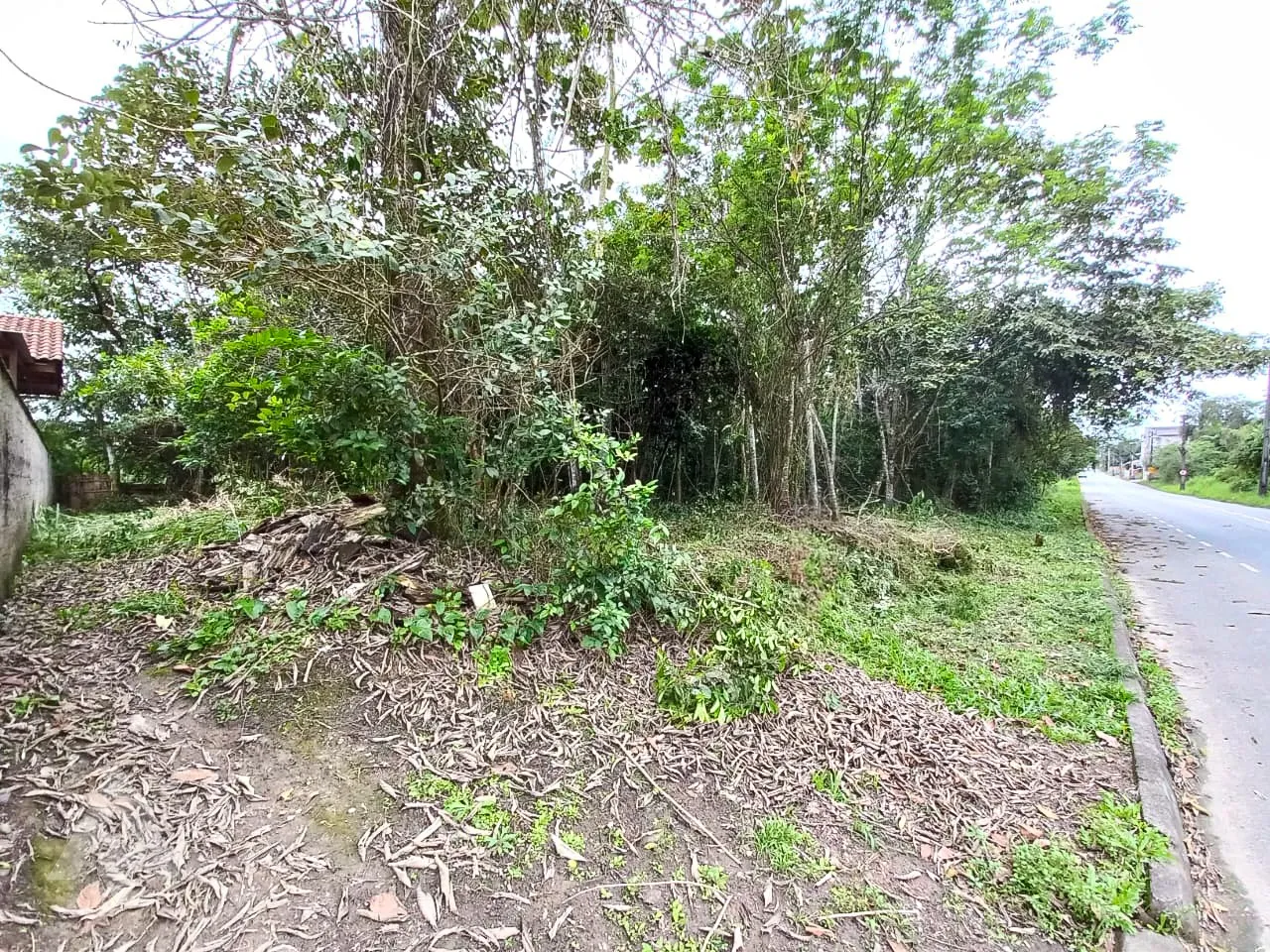 Terreno em Indaial — foto 4