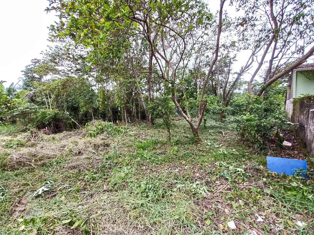 Terreno em Indaial — foto 4