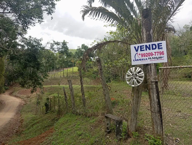 Chácara Indaial 444 - foto 1