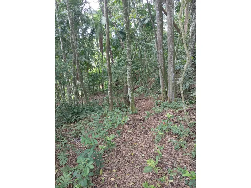 Chácara Indaial 444 — foto 2